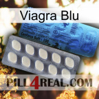 Viagra Blu 34